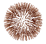 iskra-1-0.gif iskra-1-0.gif