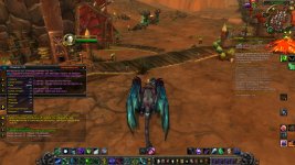 WoWScrnShot_050126_141833.jpg