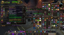 WoWScrnShot_051126_234446.jpg