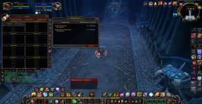WoWScrnShot_062426_192430.jpg