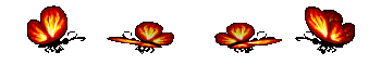 48.gif