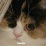 larrykss