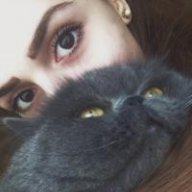 ameli