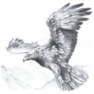 aqil