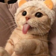 KarrenVonRozenvaldes