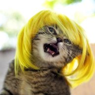 Kiisu