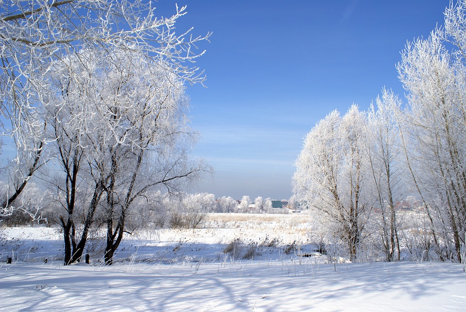 winter-1891364_960_720.jpg